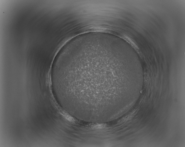 X0000073860891200608241105