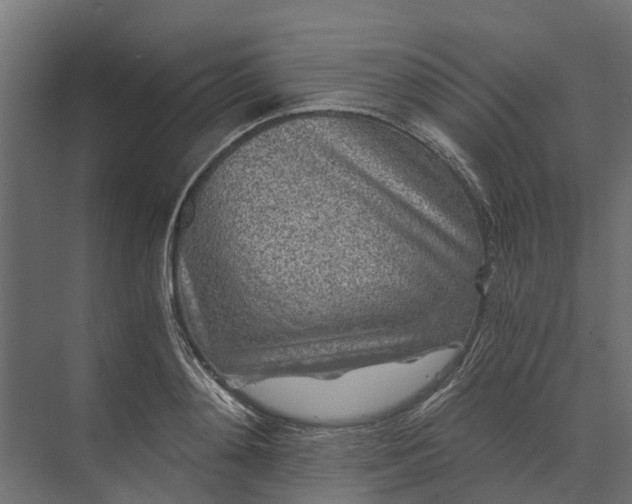 X0000073860892200608241105