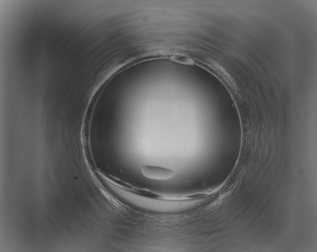 X0000073860893200608241105