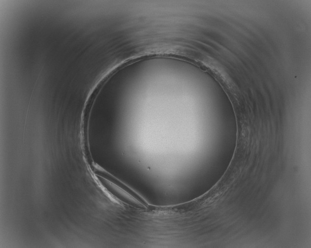 X0000073860894200608241105