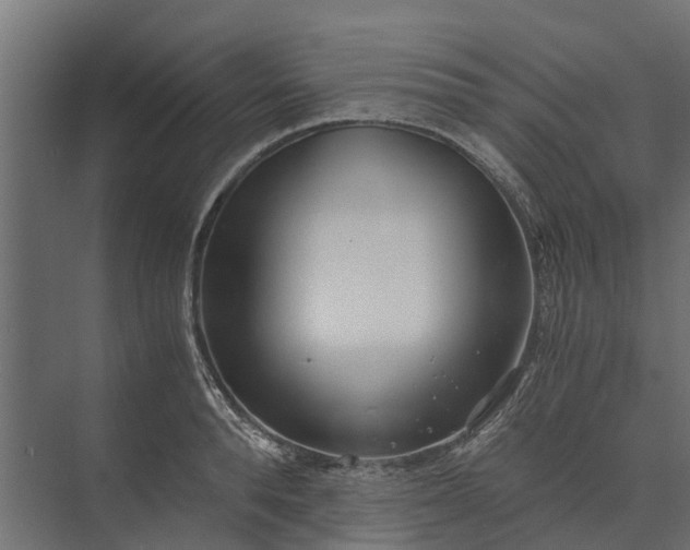 X0000073860896200608241105