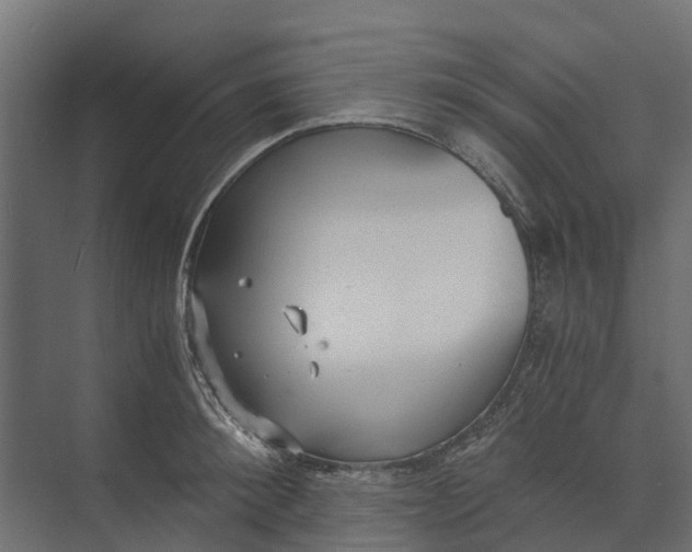 X0000073860900200608241105