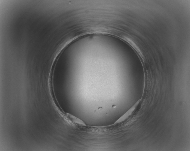 X0000073860901200608241105