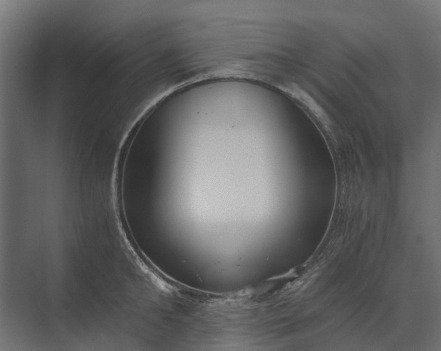 X0000073860902200608241105