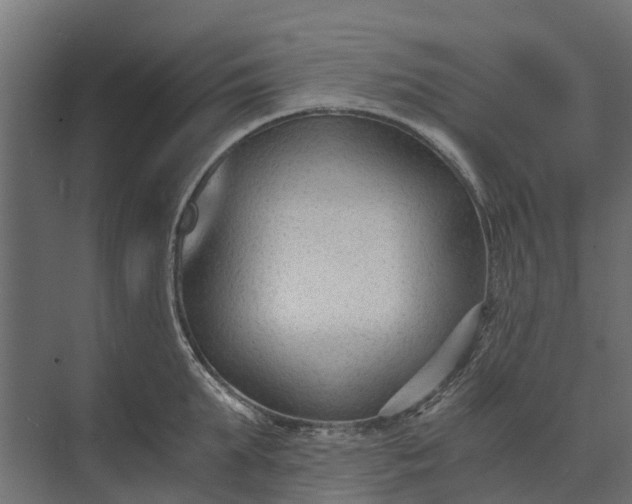 X0000073860903200608241105