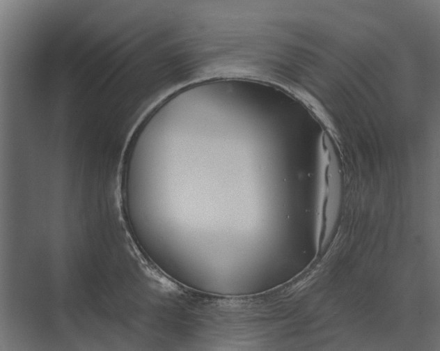 X0000073860904200608241105