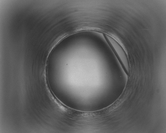 X0000073860906200608241105