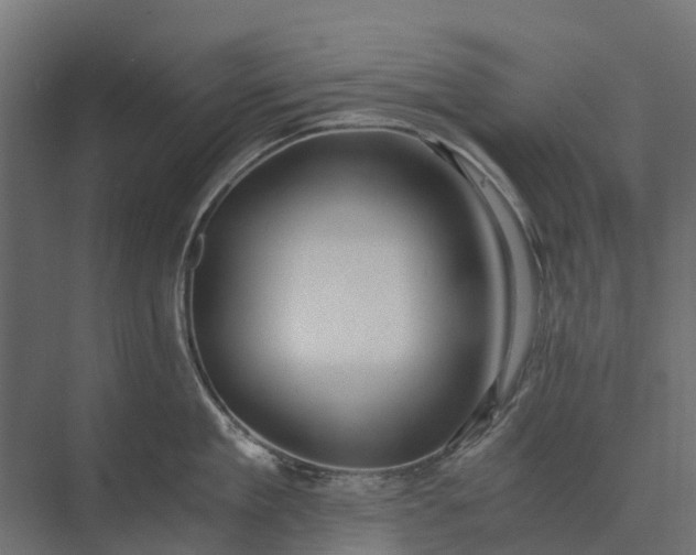 X0000073860909200608241105