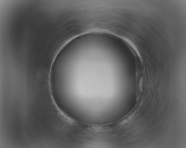 X0000073860911200608241105