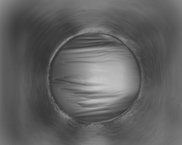 X0000073860912200608241105