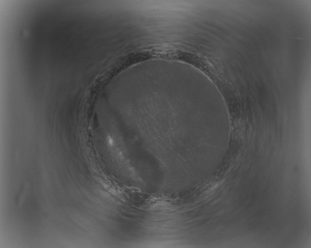 X0000073860913200608241104