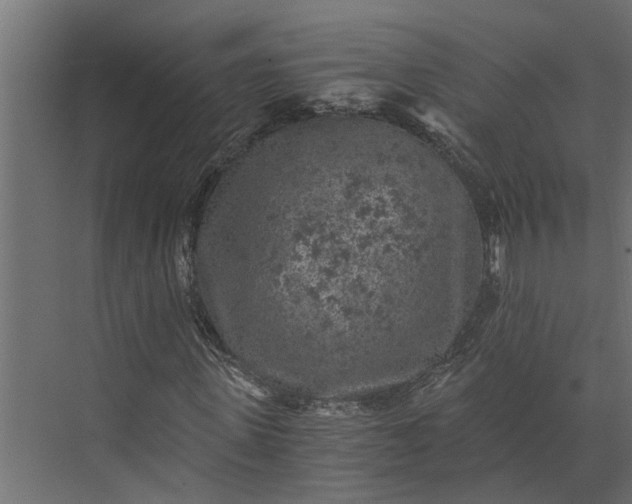 X0000073860915200608241104