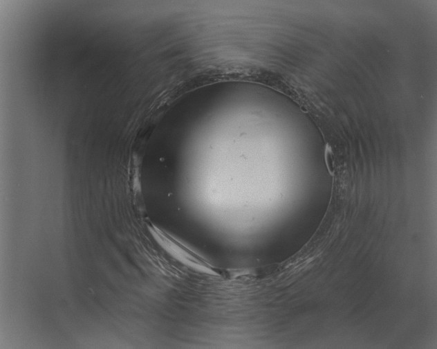 X0000073860916200608241104