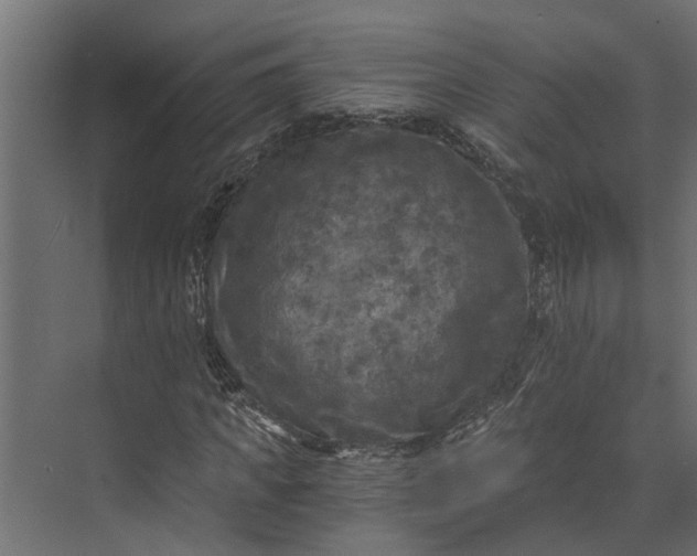 X0000073860917200608241104