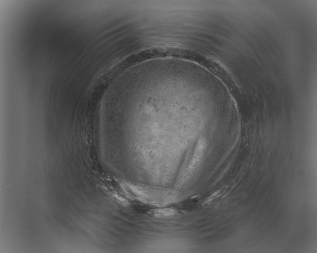 X0000073860919200608241104