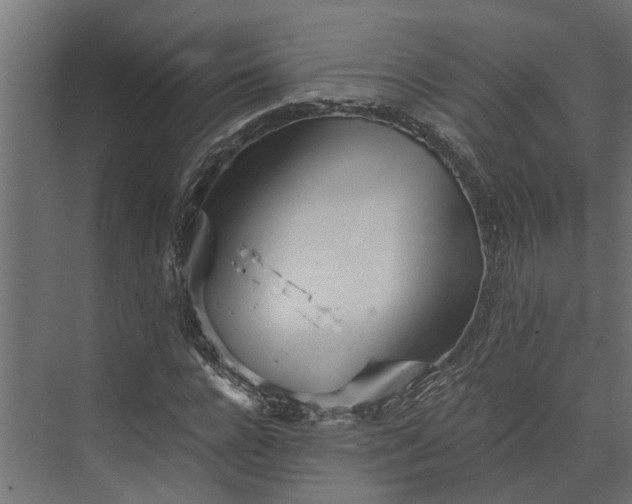 X0000073860920200608241104