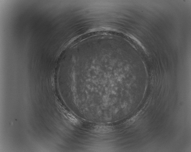 X0000073860921200608241104