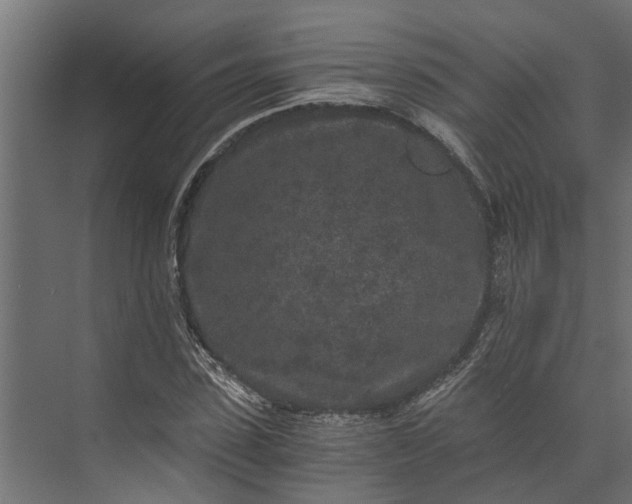 X0000073860923200608241104