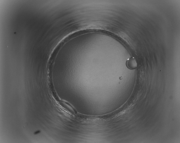 X0000073860926200608241105