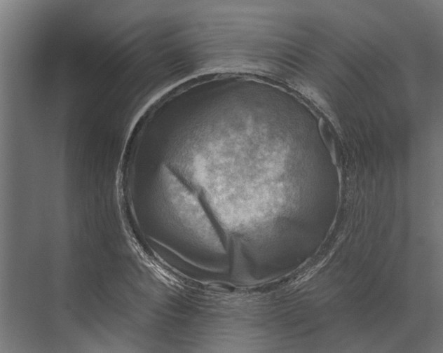 X0000073860928200608241105