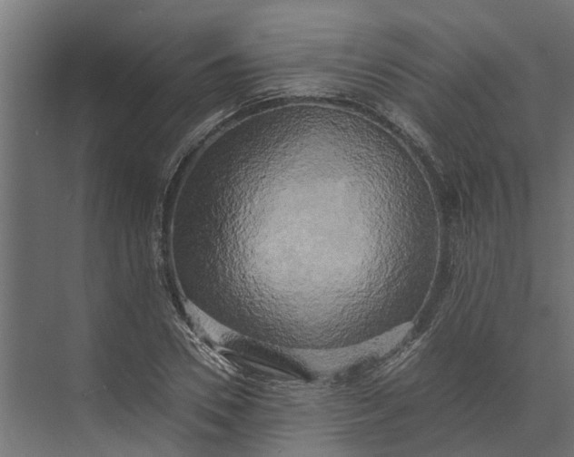 X0000073860930200608241105