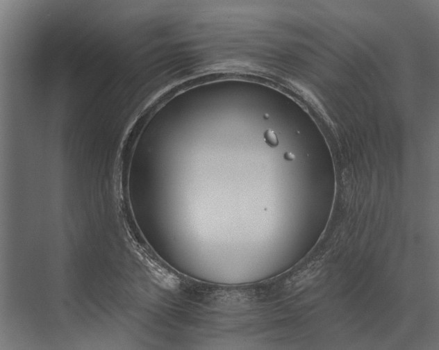 X0000073860931200608241105