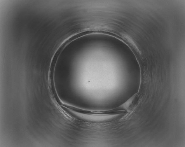 X0000073860932200608241105