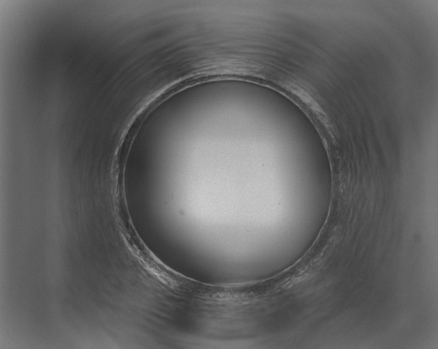 X0000073860933200608241105