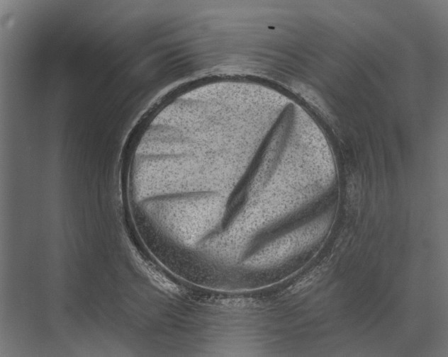 X0000073860934200608241105