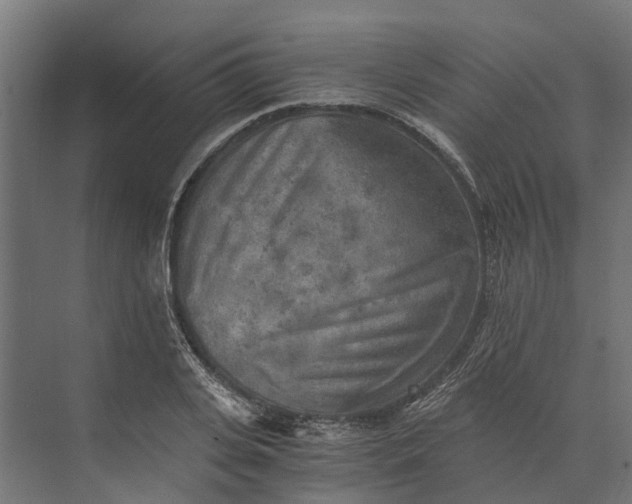 X0000073860935200608241105