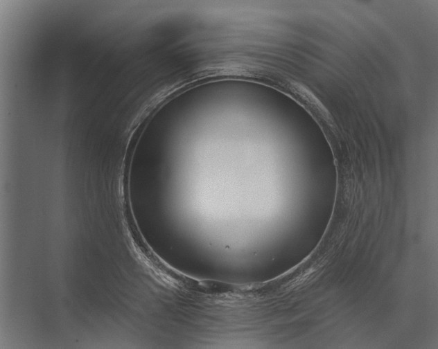 X0000073860938200608241105