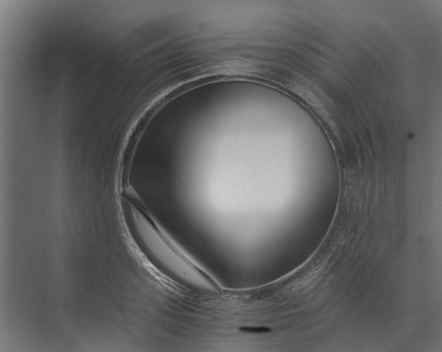 X0000073860939200608241105