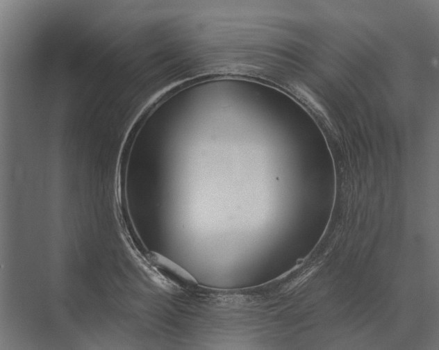 X0000073860940200608241105