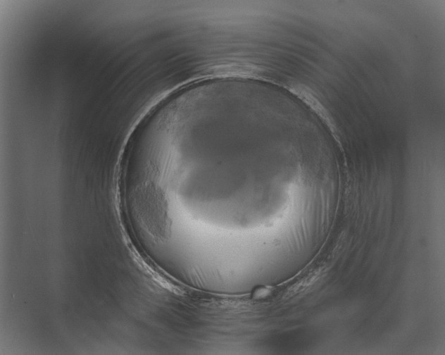 X0000073860941200608241105