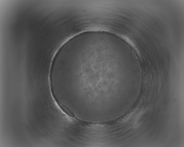 X0000073860943200608241105