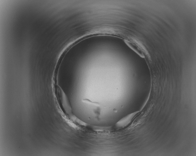 X0000073860944200608241105