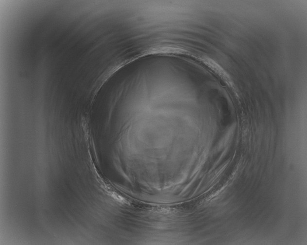 X0000073860945200608241105