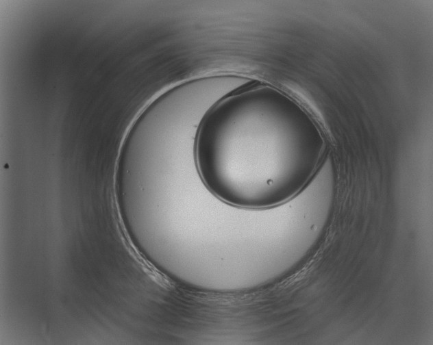 X0000073860948200608241105