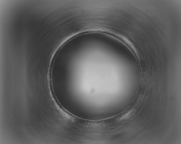 X0000073860951200608241105