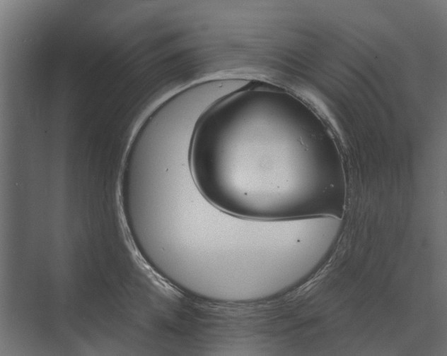 X0000073860952200608241105