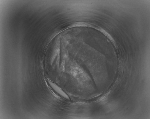 X0000073860953200608241105