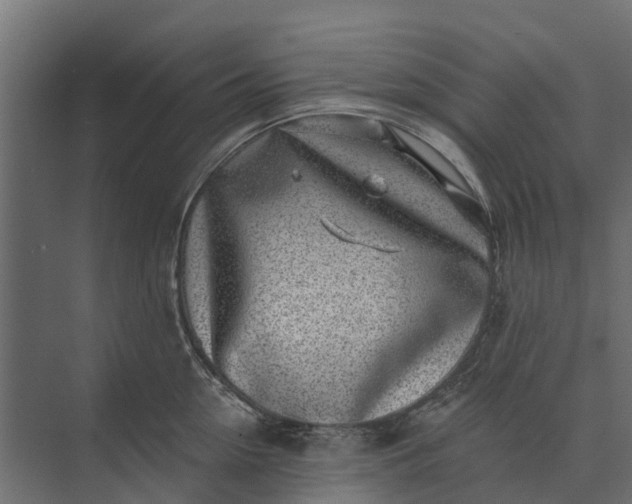 X0000073860954200608241105