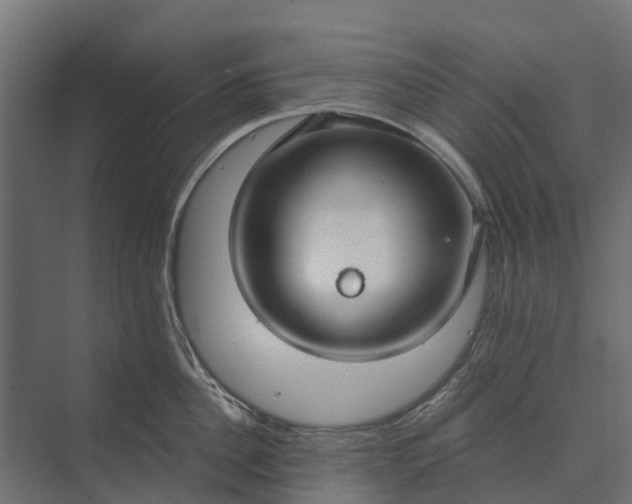 X0000073860956200608241105