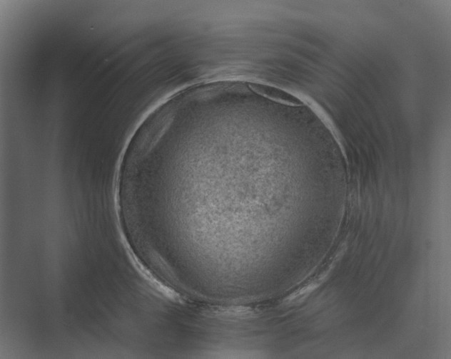 X0000073860957200608241105