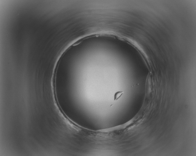 X0000073860959200608241105