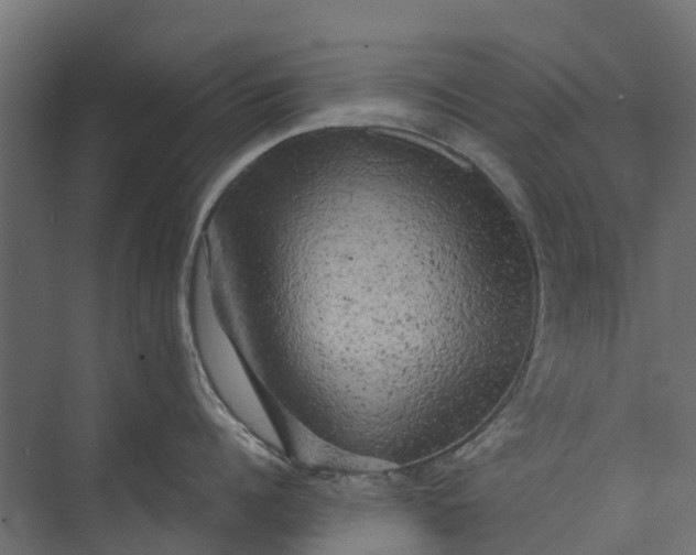 X0000073860960200608241105