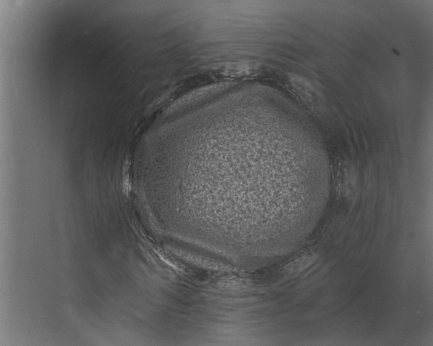 X0000073860962200608241104