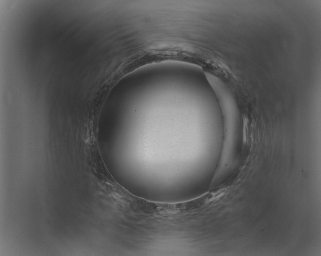 X0000073860965200608241104