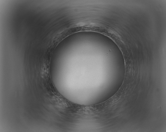 X0000073860966200608241104