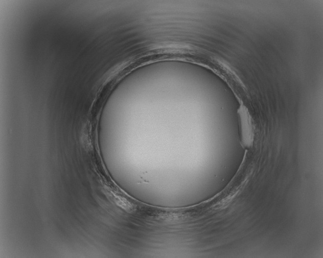 X0000073860970200608241104